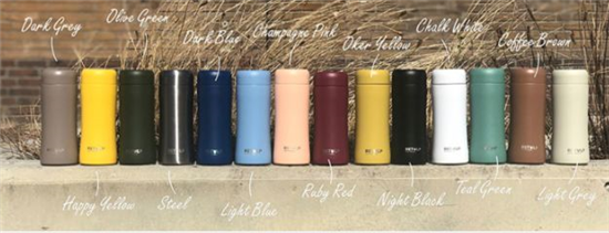 RVS thermosfles RVS 300ml