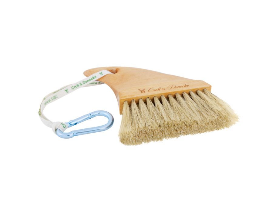 zandvoeten borsteltje haaienvin