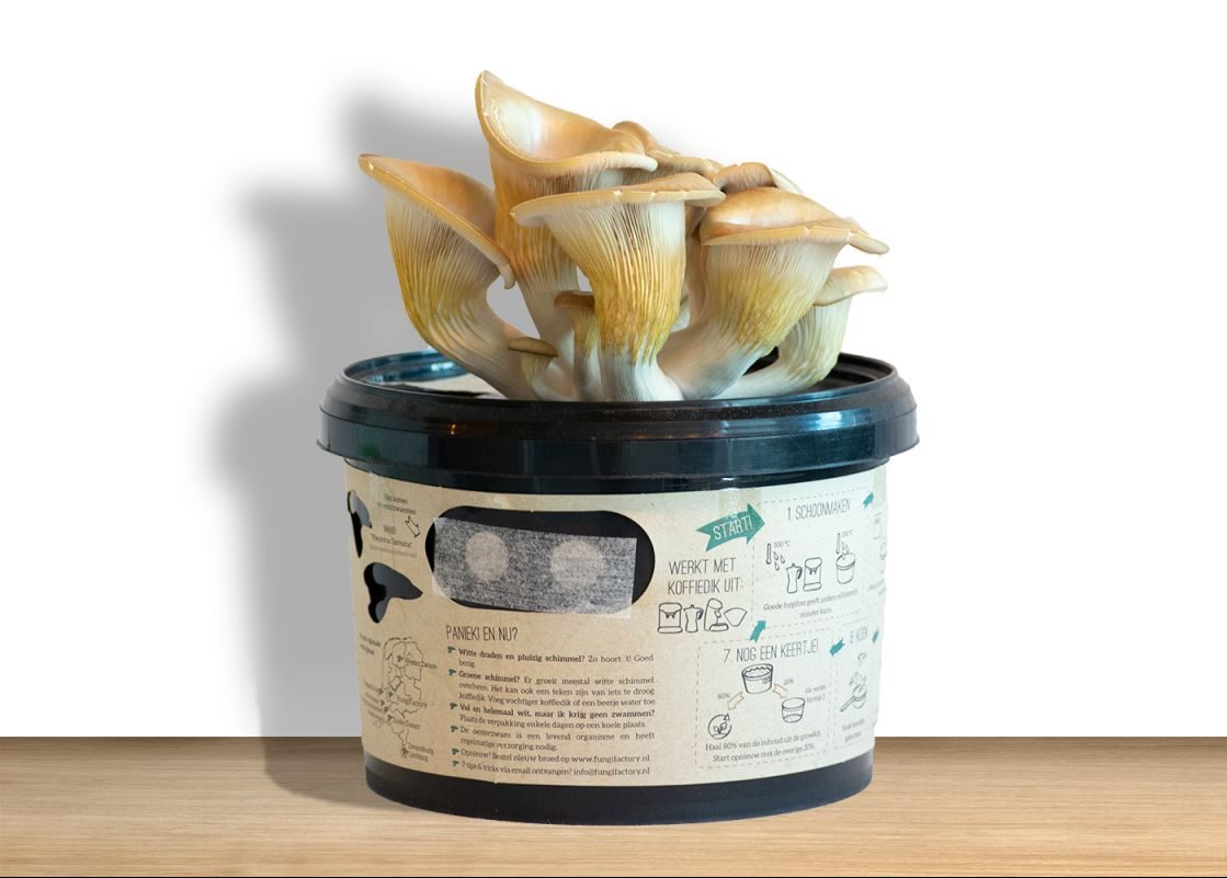 Funghi factory voor oesterzwammen kweken op koffiedik