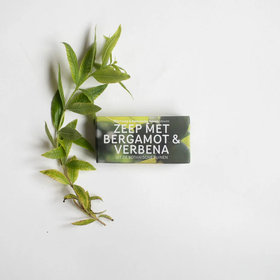 Natuurlijke Lentezeep Bergamot Verbena